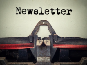 Our newsletter is back!